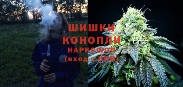 ГАЛЛЮЦИНОГЕННЫЕ ГРИБЫ Бугульма